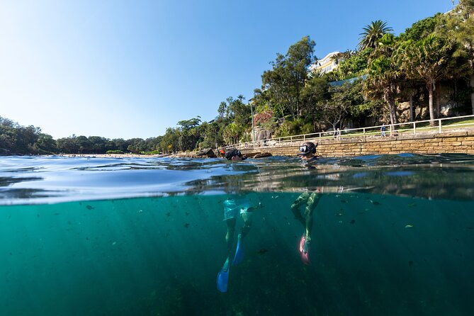 Small Group Manly Snorkel Tour and Nature Walk with Local Guide - What makes Cabbage Tree Bay special