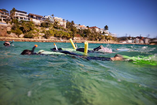 Small Group Manly Snorkel Tour and Nature Walk with Local Guide - The value of $78.18