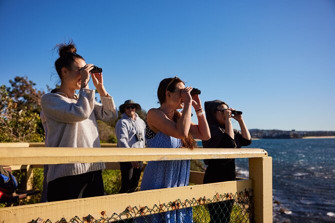 Small Group Manly Snorkel Tour and Nature Walk with Local Guide - Timing, meeting point, and practical details