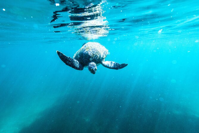 Small Group Manly Snorkel Tour and Nature Walk with Local Guide - Who will enjoy this outing most