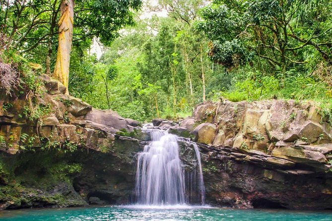 Small Group Waterfall and Rainforest Hiking Adventure on Maui - Reaching Twin Falls and the swimming pools