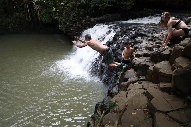 Small Group Waterfall and Rainforest Hiking Adventure on Maui - Guide quality makes a real difference
