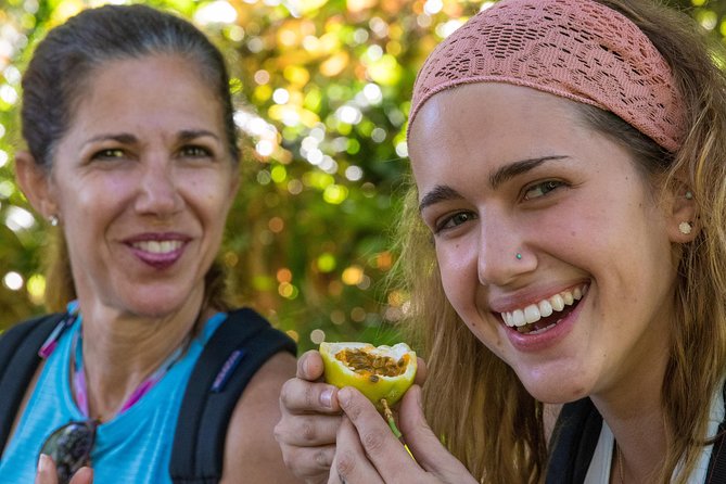 Small Group Waterfall and Rainforest Hiking Adventure on Maui - Who should book this experience?