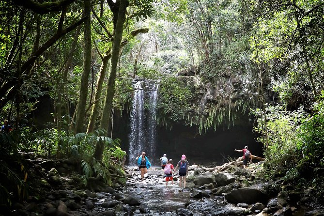 Small Group Waterfall and Rainforest Hiking Adventure on Maui - Walking through a rainforest food forest