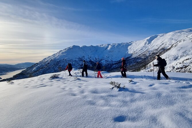 Snowshoe hiking in Bergen - Public tour - Key points before you book