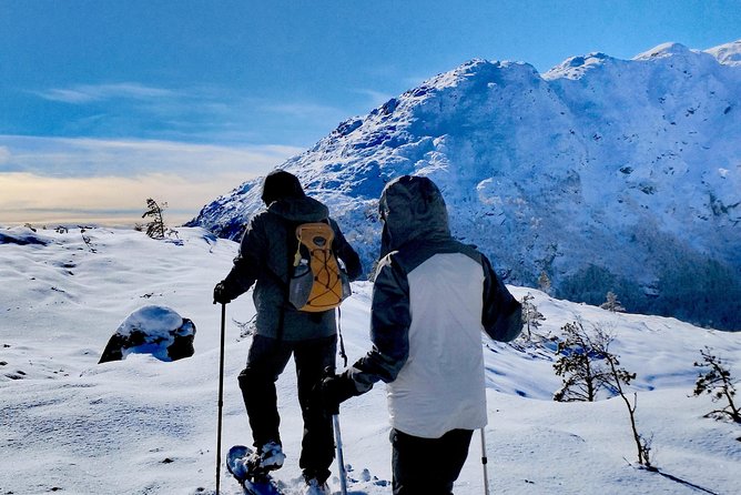 Snowshoe hiking in Bergen - Public tour - The hot drink and Norwegian snack