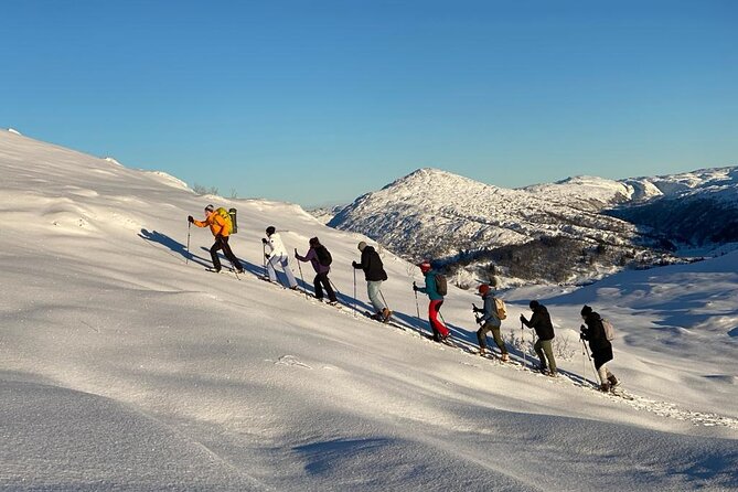 Snowshoe hiking in Bergen - Public tour - What the five-hour walk feels like