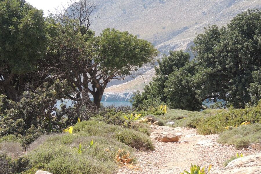 South Crete: Sarakinas Gorge Hike, Swim & Jeep Safari - Katharo Plateau at 1,250 meters