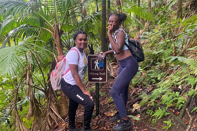 St.Kitts Volcano Hike To Mt. Liamuiga (Highest Peak On Island) - The crater views are the payoff
