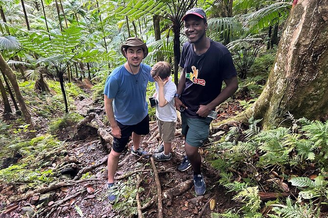 St.Kitts Volcano Hike To Mt. Liamuiga (Highest Peak On Island) - Who should book this hike?