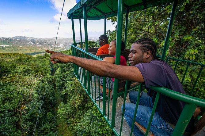 St Lucia Ultimate 3: Aerial Tram, Zipline and Hiking at Rainforest Adventures - The aerial tram gives you the calmest hour