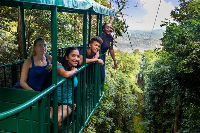 St Lucia Ultimate 3: Aerial Tram, Zipline and Hiking at Rainforest Adventures - The walk to the canopy start is part of the tour
