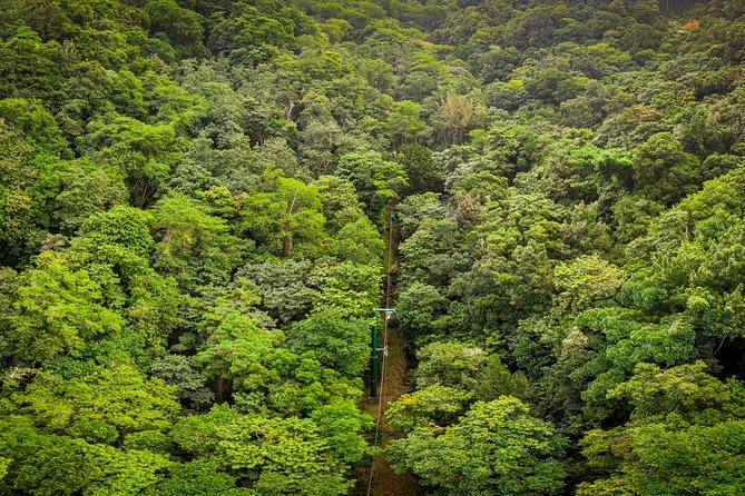 St Lucia Ultimate 3: Aerial Tram, Zipline and Hiking at Rainforest Adventures - Eight zip lines through the upper forest