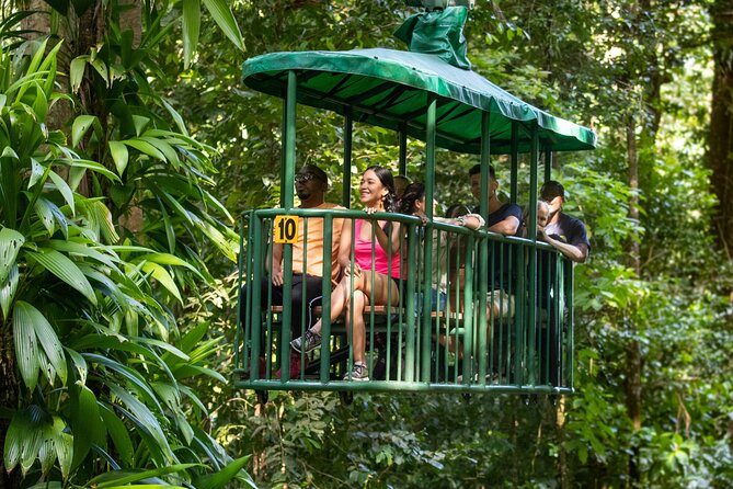 St Lucia Ultimate 3: Aerial Tram, Zipline and Hiking at Rainforest Adventures - Who should book this rainforest day