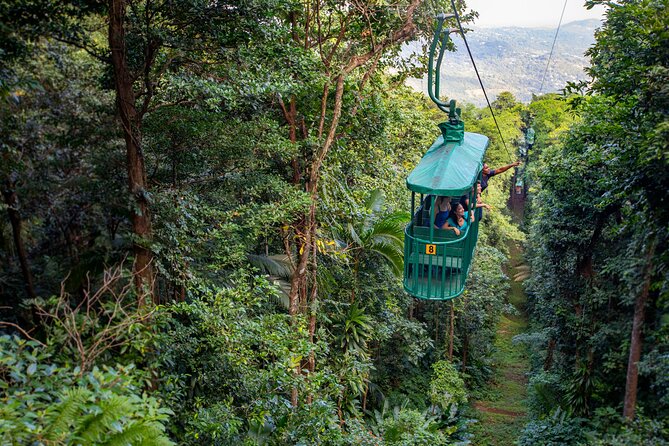 St. Lucia Zip line, Aerial Tram and Hiking tour Ultimate 3 - A Quiet Start in St. Lucia’s Rainforest