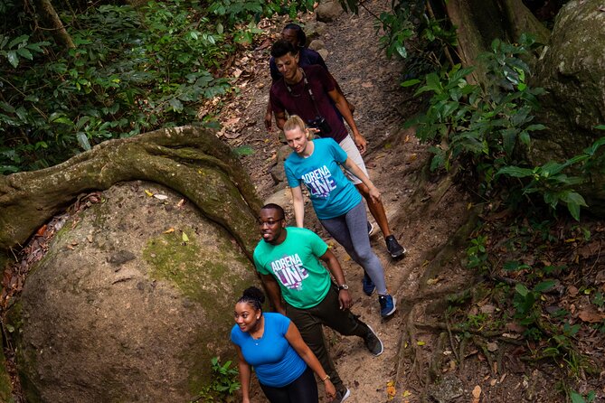 St. Lucia Zip line, Aerial Tram and Hiking tour Ultimate 3 - What the $95 Price Really Buys You