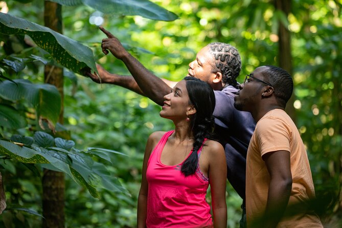 St. Lucia Zip line, Aerial Tram and Hiking tour Ultimate 3 - Who Will Enjoy This Most
