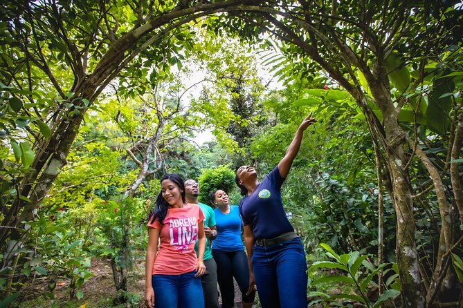 St. Lucia Zip line, Aerial Tram and Hiking tour Ultimate 3 - Practical Details Before You Book