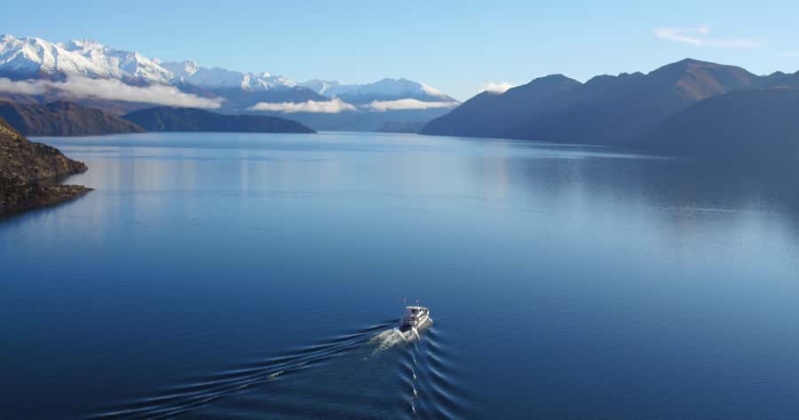 Stevensons Island 2-Hour Cruise and Nature Walk - Key points about the Stevensons Island cruise
