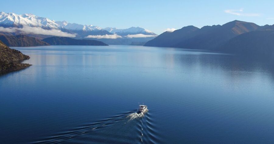 Stevensons Island 2-Hour Cruise and Nature Walk - You do not have to take the uphill path