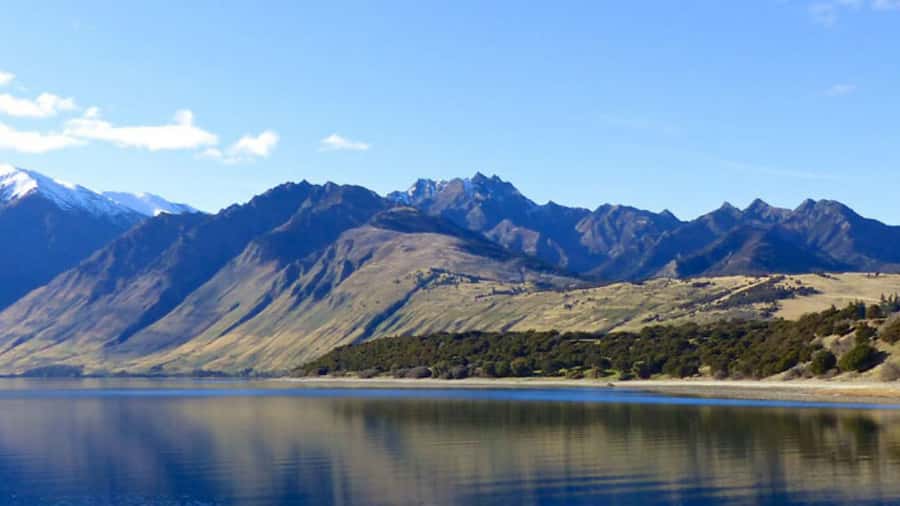 Stevensons Island 2-Hour Cruise and Nature Walk - Weather, clothing, and comfort