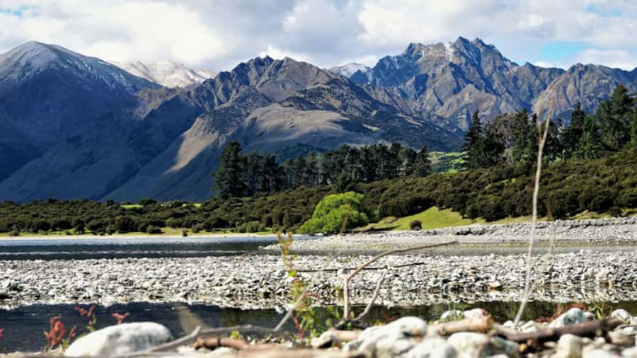 Stevensons Island 2-Hour Cruise and Nature Walk - Is $50 good value?