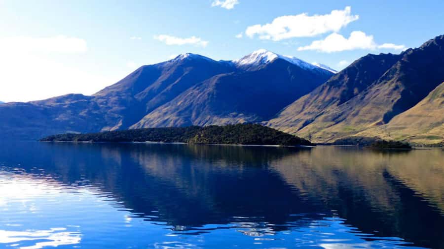 Stevensons Island 2-Hour Cruise and Nature Walk - Who should book this outing?