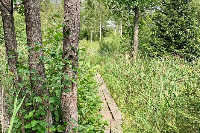 Stockholm: Nature Reserve Hiking Tour with Campfire Lunch - What the small group adds
