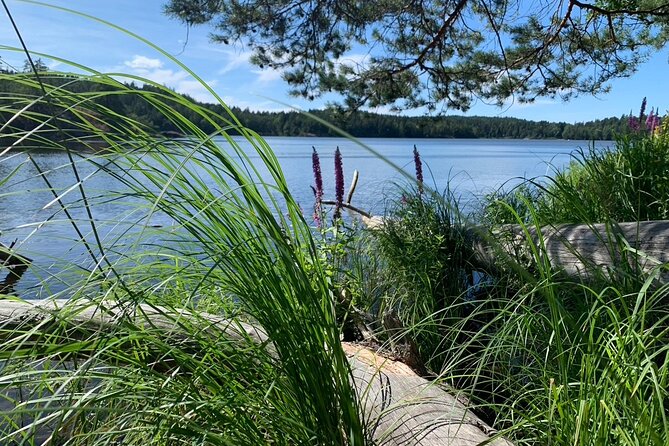 Stockholm: Sunset Hike in Tyresta National Park with Meal - Tyresta’s old forest and granite cliffs