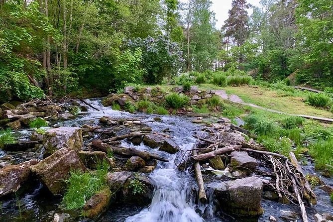 Stockholm: Sunset Hike in Tyresta National Park with Meal - Walking after dark