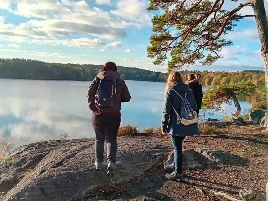 Stockholm: Sunset Hike in Tyresta National Park with Meal - Who should book this evening hike?