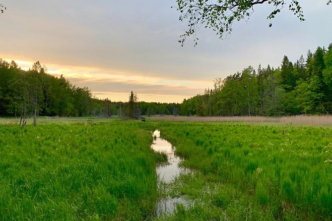 Stockholm: Sunset Hike in Tyresta National Park with Meal - How hard is the 5-kilometer hike?