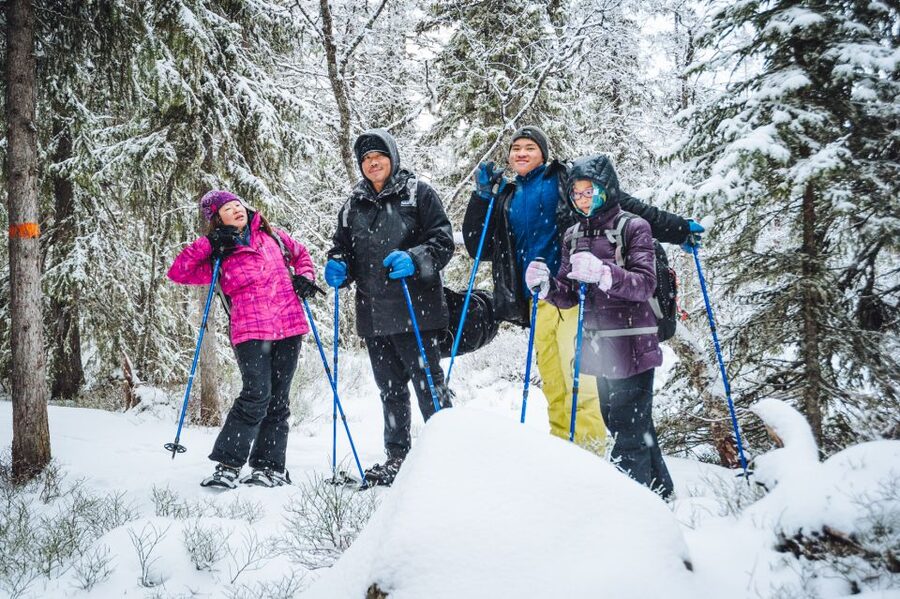 Stockholm: Winter Snowshoe Full-Day Hike - From Stockholm streets to a frozen forest