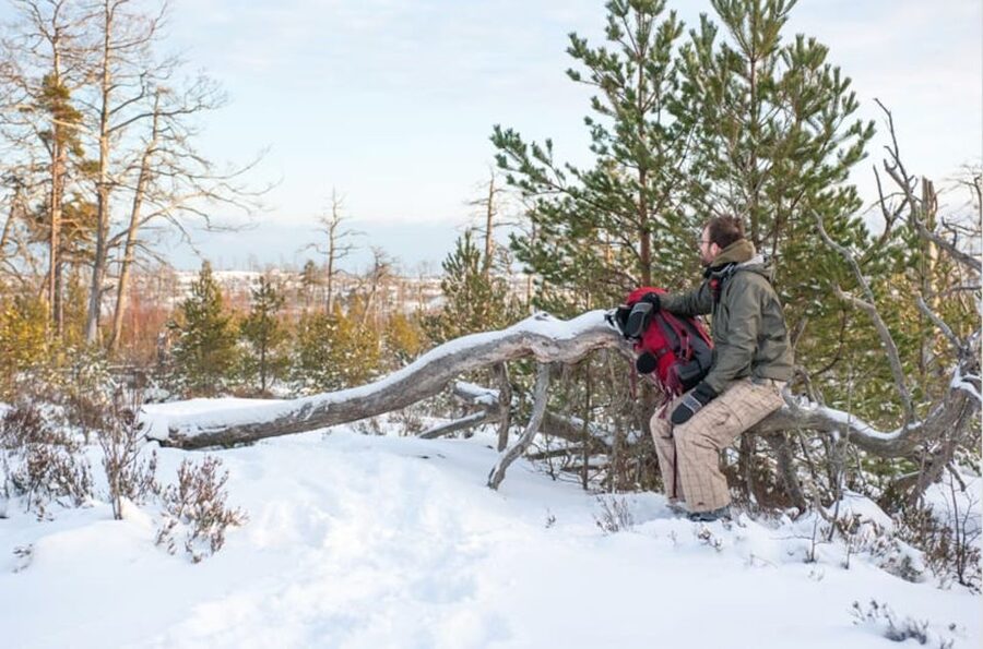Stockholm: Winter Snowshoe Full-Day Hike - Should you book it?