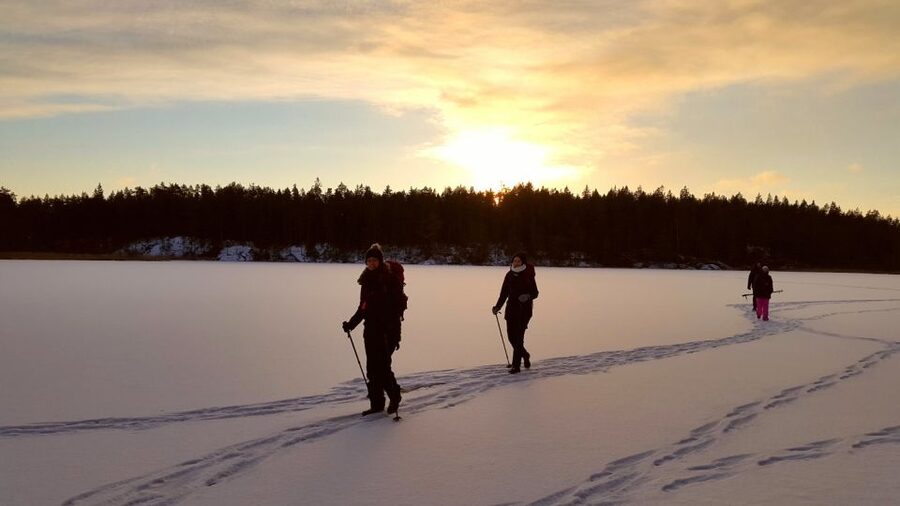 Stockholm: Winter Snowshoe Full-Day Hike - Learning to walk on snow and ice