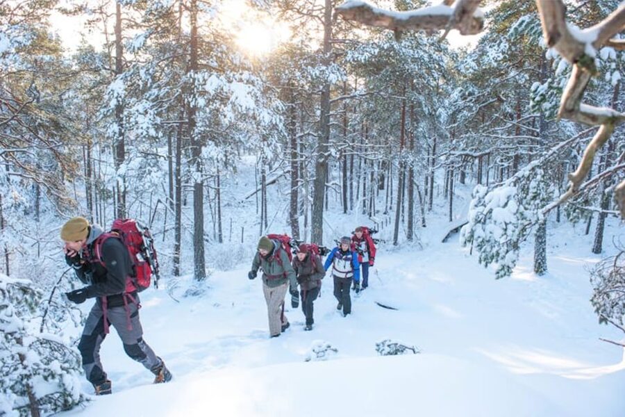 Stockholm: Winter Snowshoe Full-Day Hike - Walking across a frozen lake