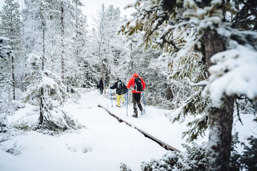 Stockholm: Winter Snowshoe Full-Day Hike - Is $176 a fair price?