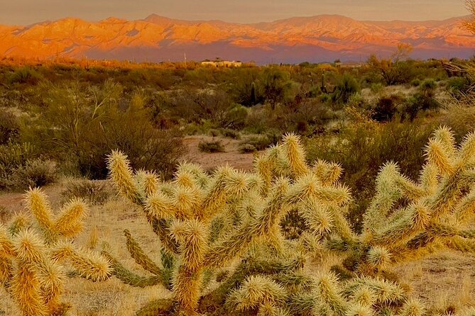 Stunning Sunset or Sunrise Guided Hiking Adventure in Phoenix - Flexible trails, grades, and mileage
