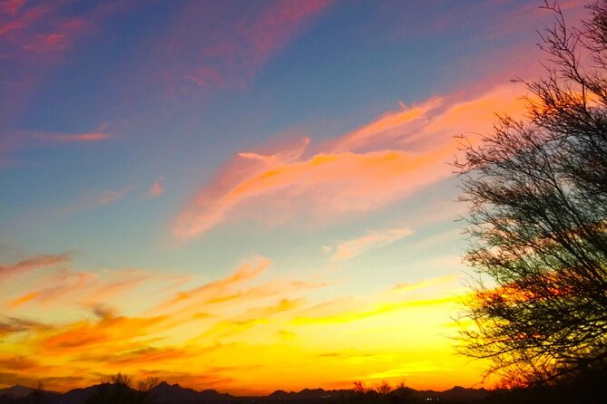 Stunning Sunset or Sunrise Guided Hiking Adventure in Phoenix - Desert details you could miss alone