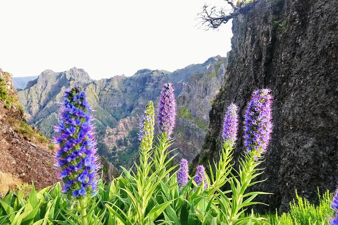 Sunrise Guided Hike PR1 Pico do Areeiro Pico Ruivo small group - Before dawn in Funchal or Caniço