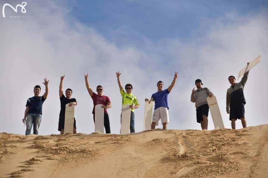 Sydney: Port Stephens Day Trip with Dolphin Cruise or Hike - Choosing between dolphins and Mount Tomaree