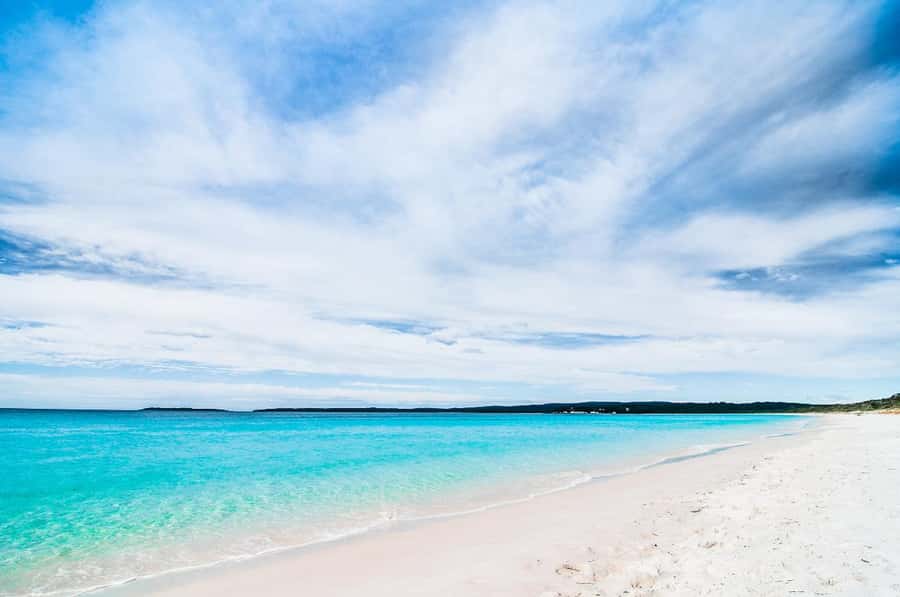 Sydney: Port Stephens Day Trip with Dolphin Cruise or Hike - The guides and the feel of the day