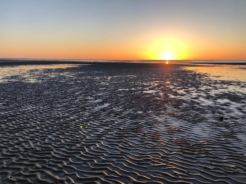 Sylt: Guided Mudflat Hike on the Island - Key points to know before walking into the mud