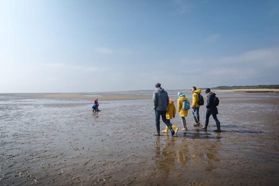 Sylt: Guided Mudflat Hike on the Island - The first steps across the Wadden Sea