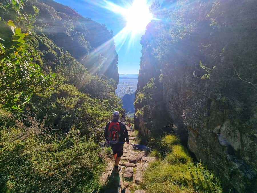 Table Mountain Group Hike - Solo Travelers welcome - Key points to know before you book