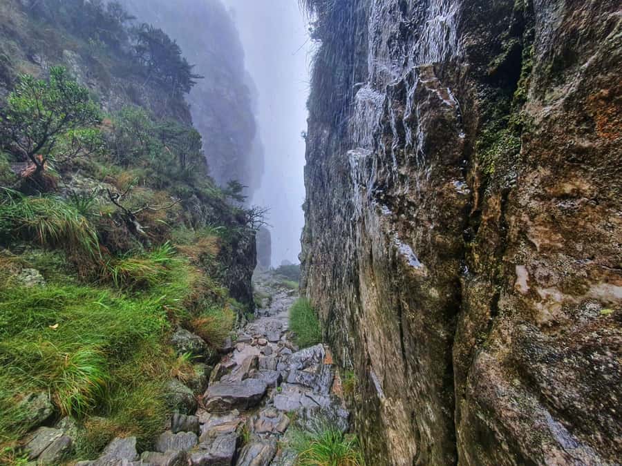 Table Mountain Group Hike - Solo Travelers welcome - Should you book this Table Mountain hike?