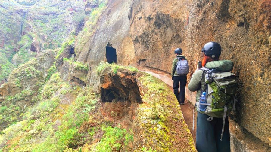 Tenerife: Anaga Mountains & Enchanted Forest Hiking Tour - A short introduction to the Enchanted Forest