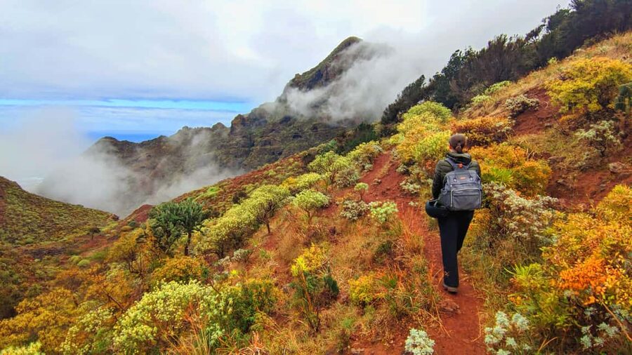 Tenerife: Anaga Mountains & Enchanted Forest Hiking Tour - Cave homes and the quieter side of Anaga