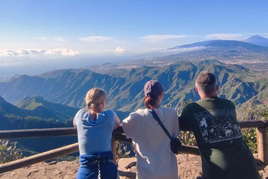 Tenerife: Anaga Mountains & Enchanted Forest Hiking Tour - The main hike, from forest paths to volcanic ridges