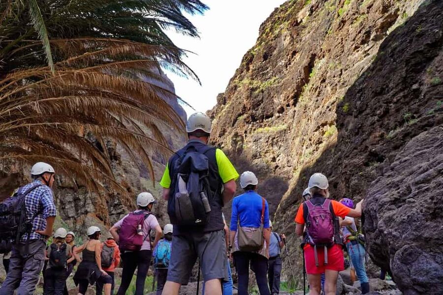 Tenerife Barranco de Masca: Guided hike + boat ride + transport - The cove and Masca Beach